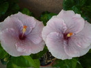 P1160257
