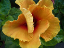P1160267