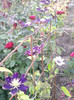 Photo0439