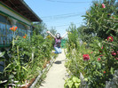 DSCN7309