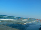 DSCN8564