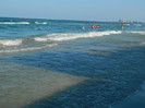 DSCN8590