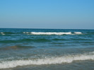 DSCN8591