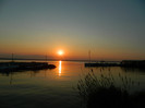 DSCN8617
