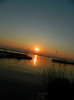 DSCN8618