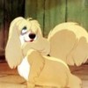 Lady_and_the_Tramp_1238334216_4_1955