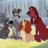 Lady_and_the_Tramp_1238334332_3_1955