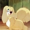 Lady_and_the_Tramp_1328743851_2_1955