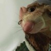 The_Tale_of_Despereaux_1229635542_0_2008