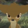 Bambi_II_1265181925_4_2006