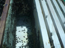 P1120506