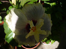 P1160322