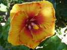P1160324