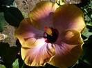 P1160327