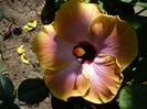 P1160328