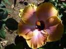P1160329