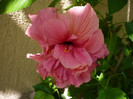 P1160332
