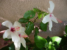 P1160335