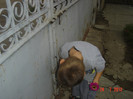 poze 780