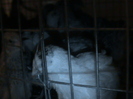 DSC00110