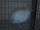 DSC00116