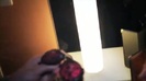 Rad New Shades 095