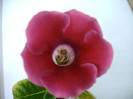 IMAG0039