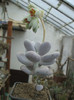 DSCF2861