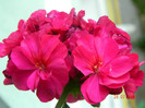 DSCN1234