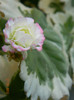 DSCN1224