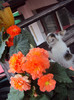 DSC08458