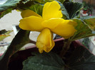 DSC08469