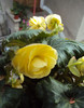 DSC08470