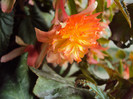 DSC08473