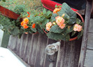 DSC08477