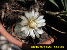 2012-07-08 086