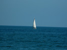 DSCN8636
