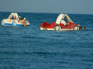 DSCN8644