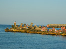 DSCN8660