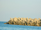 DSCN8671