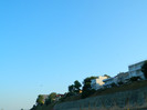 DSCN8677
