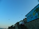 DSCN8702