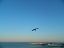 DSCN8703