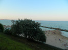 DSCN8706