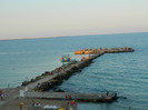 DSCN8710