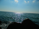 DSCN8720