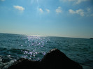 DSCN8721