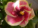 P1160342