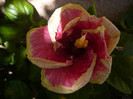 P1160343