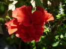 P1160345